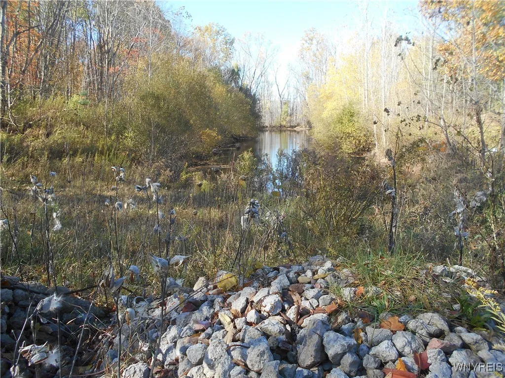 Gowanda State Road, Hamburg, New York 14075, Hamburg, New York 14075, ,Land,For Sale,Gowanda State Road, Hamburg, New York 14075,0,B1647613