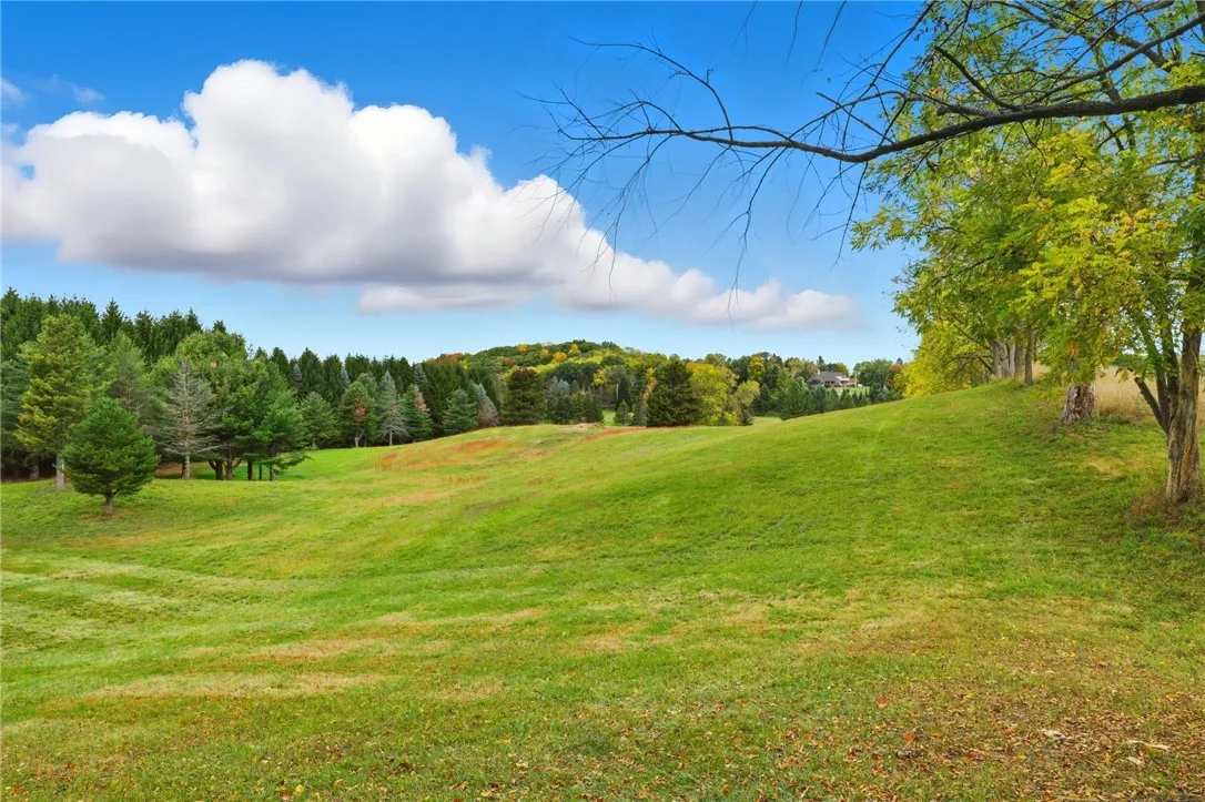 Cheese Factory Rd, Mendon, New York 14472, Mendon, New York 14472, ,Land,For Sale,Cheese Factory Rd, Mendon, New York 14472,0,R1646384