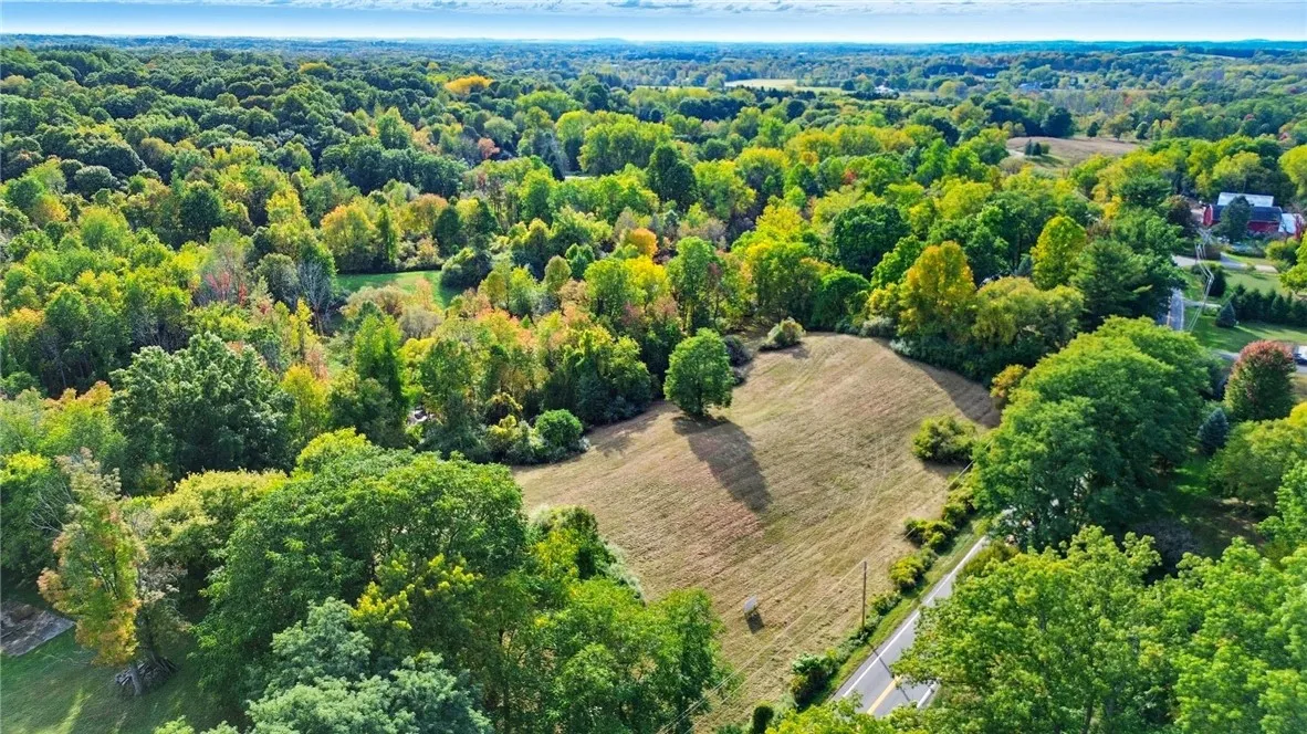 Cheese Factory Rd, Mendon, New York 14472, Mendon, New York 14472, ,Land,For Sale,Cheese Factory Rd, Mendon, New York 14472,0,R1646384