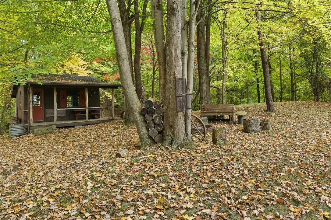 Cheese Factory Rd, Mendon, New York 14472, Mendon, New York 14472, ,Land,For Sale,Cheese Factory Rd, Mendon, New York 14472,0,R1646384