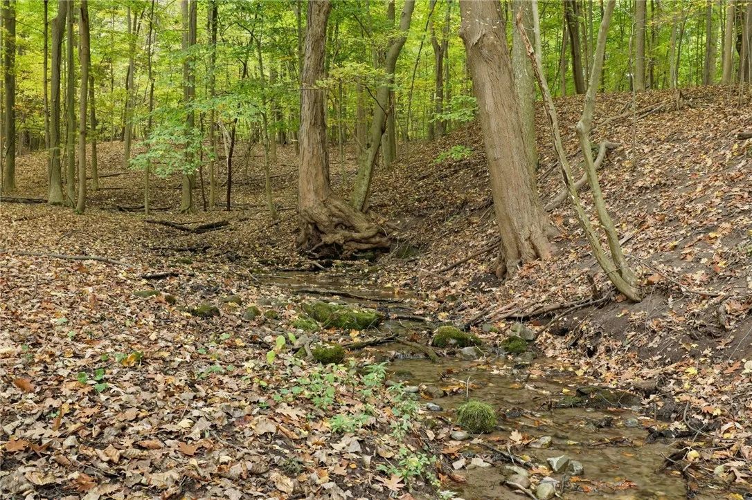 Cheese Factory Rd, Mendon, New York 14472, Mendon, New York 14472, ,Land,For Sale,Cheese Factory Rd, Mendon, New York 14472,0,R1646384