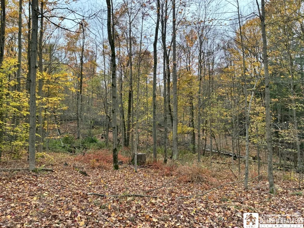 4871 Bayview Road, Ellery, New York 14712, Ellery, New York 14712, 3 Bedrooms Bedrooms, ,2 BathroomsBathrooms,Land,For Sale,4871 Bayview Road, Ellery, New York 14712,0,R1647633