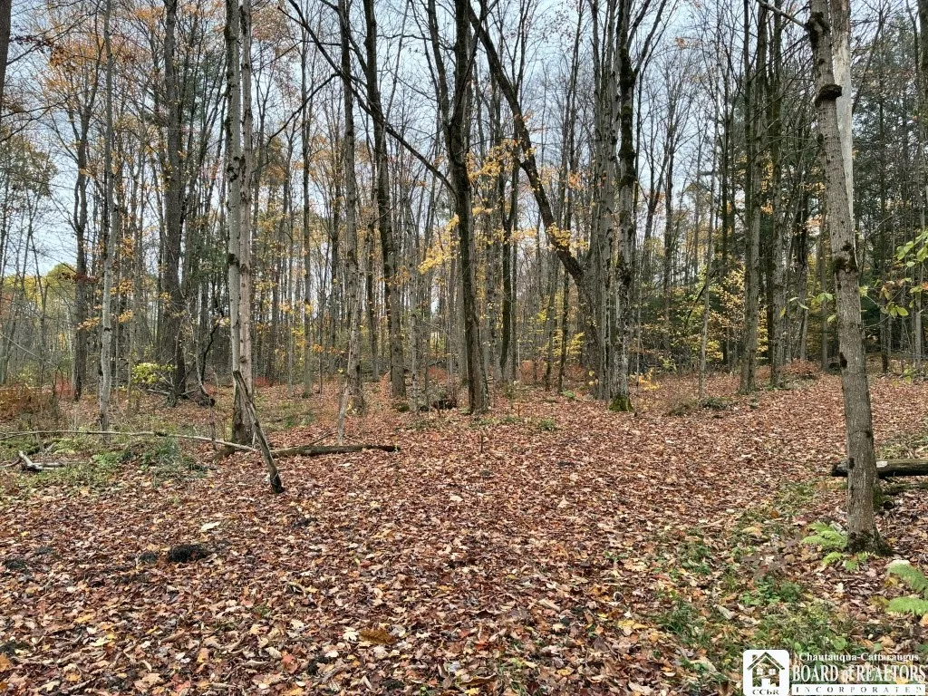 4871 Bayview Road, Ellery, New York 14712, Ellery, New York 14712, 3 Bedrooms Bedrooms, ,2 BathroomsBathrooms,Land,For Sale,4871 Bayview Road, Ellery, New York 14712,0,R1647633