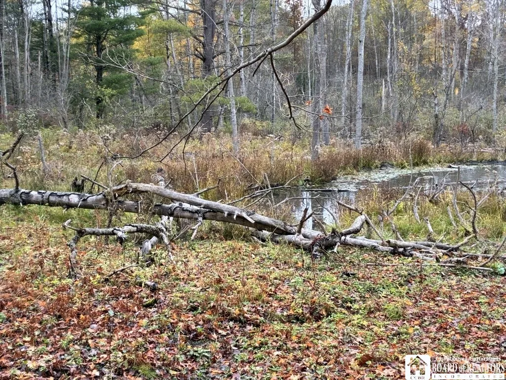 4871 Bayview Road, Ellery, New York 14712, Ellery, New York 14712, 3 Bedrooms Bedrooms, ,2 BathroomsBathrooms,Land,For Sale,4871 Bayview Road, Ellery, New York 14712,0,R1647633