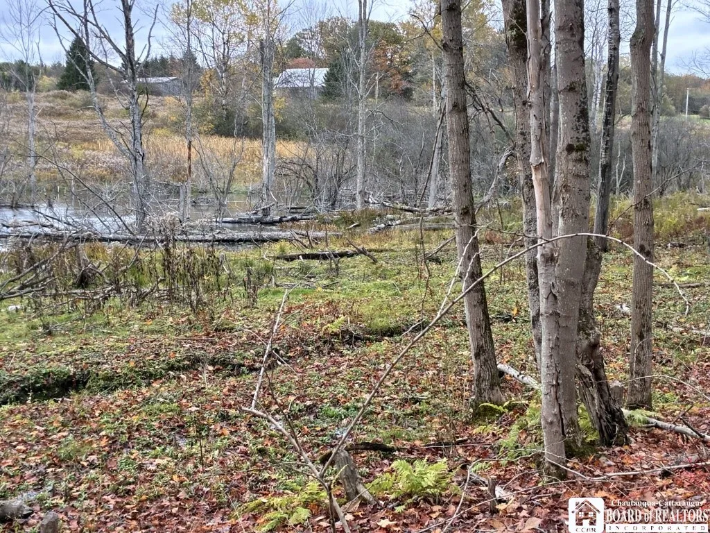 4871 Bayview Road, Ellery, New York 14712, Ellery, New York 14712, 3 Bedrooms Bedrooms, ,2 BathroomsBathrooms,Land,For Sale,4871 Bayview Road, Ellery, New York 14712,0,R1647633