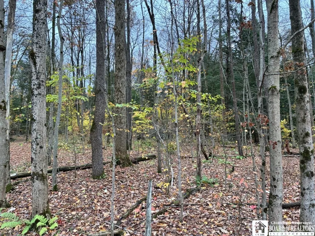 4871 Bayview Road, Ellery, New York 14712, Ellery, New York 14712, 3 Bedrooms Bedrooms, ,2 BathroomsBathrooms,Land,For Sale,4871 Bayview Road, Ellery, New York 14712,0,R1647633