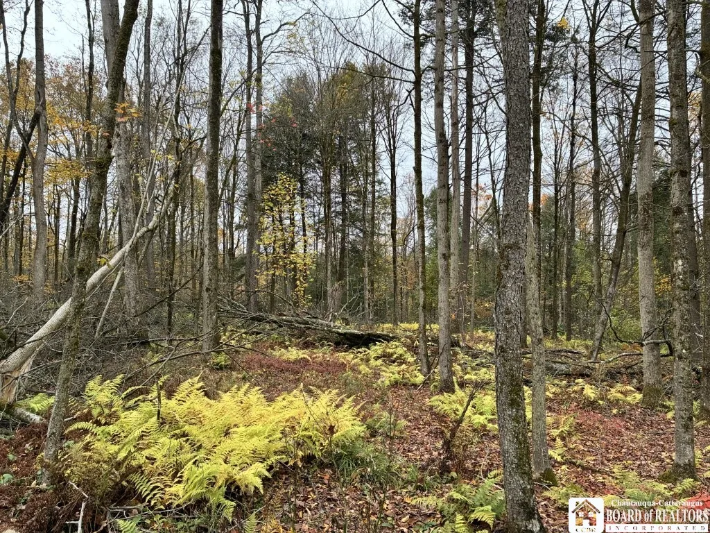 4871 Bayview Road, Ellery, New York 14712, Ellery, New York 14712, 3 Bedrooms Bedrooms, ,2 BathroomsBathrooms,Land,For Sale,4871 Bayview Road, Ellery, New York 14712,0,R1647633