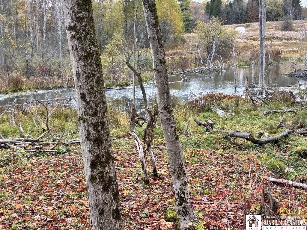 4871 Bayview Road, Ellery, New York 14712, Ellery, New York 14712, 3 Bedrooms Bedrooms, ,2 BathroomsBathrooms,Land,For Sale,4871 Bayview Road, Ellery, New York 14712,0,R1647633