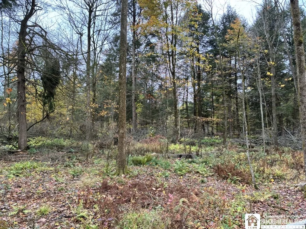 4871 Bayview Road, Ellery, New York 14712, Ellery, New York 14712, 3 Bedrooms Bedrooms, ,2 BathroomsBathrooms,Land,For Sale,4871 Bayview Road, Ellery, New York 14712,0,R1647633