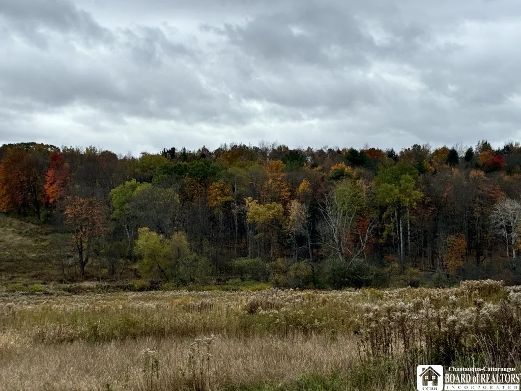 4871 Bayview Road, Ellery, New York 14712, Ellery, New York 14712, 3 Bedrooms Bedrooms, ,2 BathroomsBathrooms,Land,For Sale,4871 Bayview Road, Ellery, New York 14712,0,R1647633