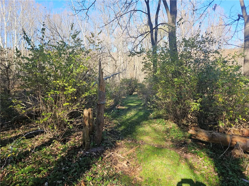 1614 Pennsylvania Avenue, Southport, New York 1487, Southport, New York 14871, 4 Bedrooms Bedrooms, 9 Rooms Rooms,1 BathroomBathrooms,Residential,For Sale,1614 Pennsylvania Avenue, Southport, New York 1487,0,R1647394