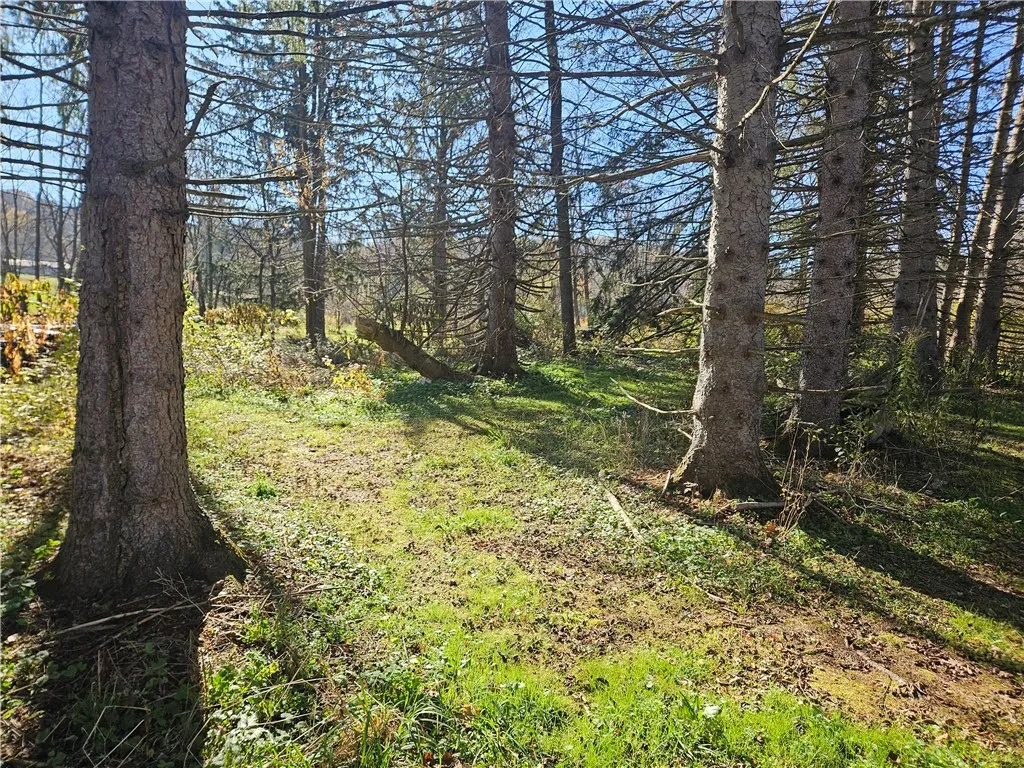 1614 Pennsylvania Avenue, Southport, New York 1487, Southport, New York 14871, 4 Bedrooms Bedrooms, 9 Rooms Rooms,1 BathroomBathrooms,Residential,For Sale,1614 Pennsylvania Avenue, Southport, New York 1487,0,R1647394