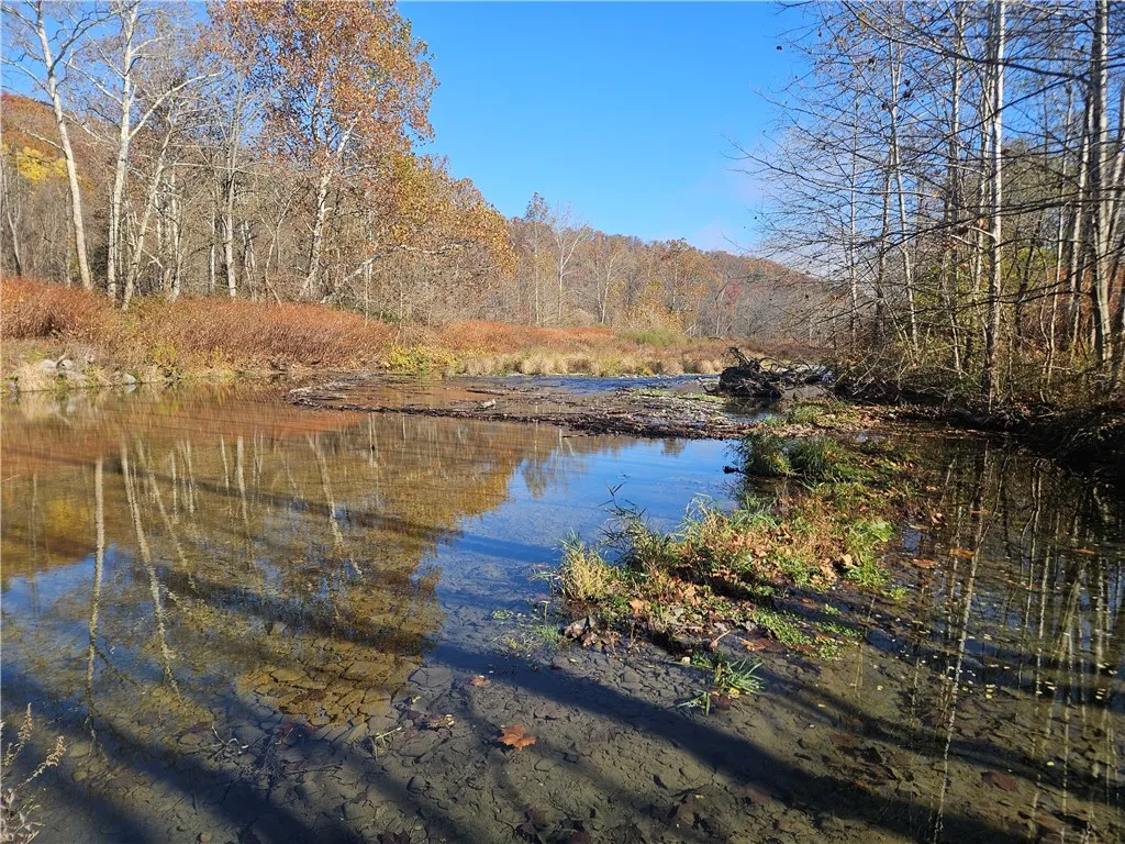 1614 Pennsylvania Avenue, Southport, New York 1487, Southport, New York 14871, 4 Bedrooms Bedrooms, 9 Rooms Rooms,1 BathroomBathrooms,Residential,For Sale,1614 Pennsylvania Avenue, Southport, New York 1487,0,R1647394