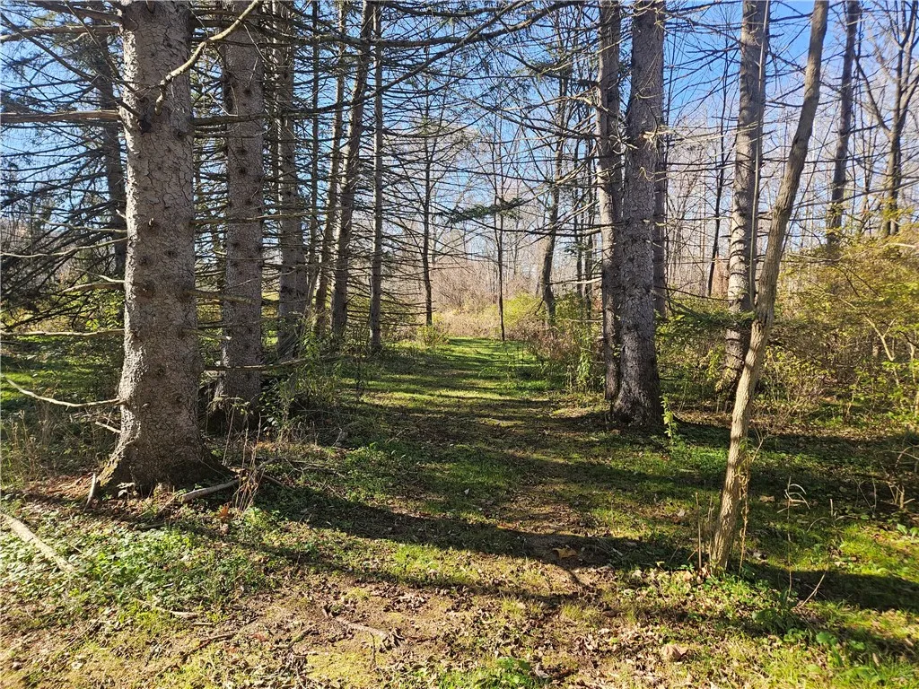 1614 Pennsylvania Avenue, Southport, New York 1487, Southport, New York 14871, 4 Bedrooms Bedrooms, 9 Rooms Rooms,1 BathroomBathrooms,Residential,For Sale,1614 Pennsylvania Avenue, Southport, New York 1487,0,R1647394