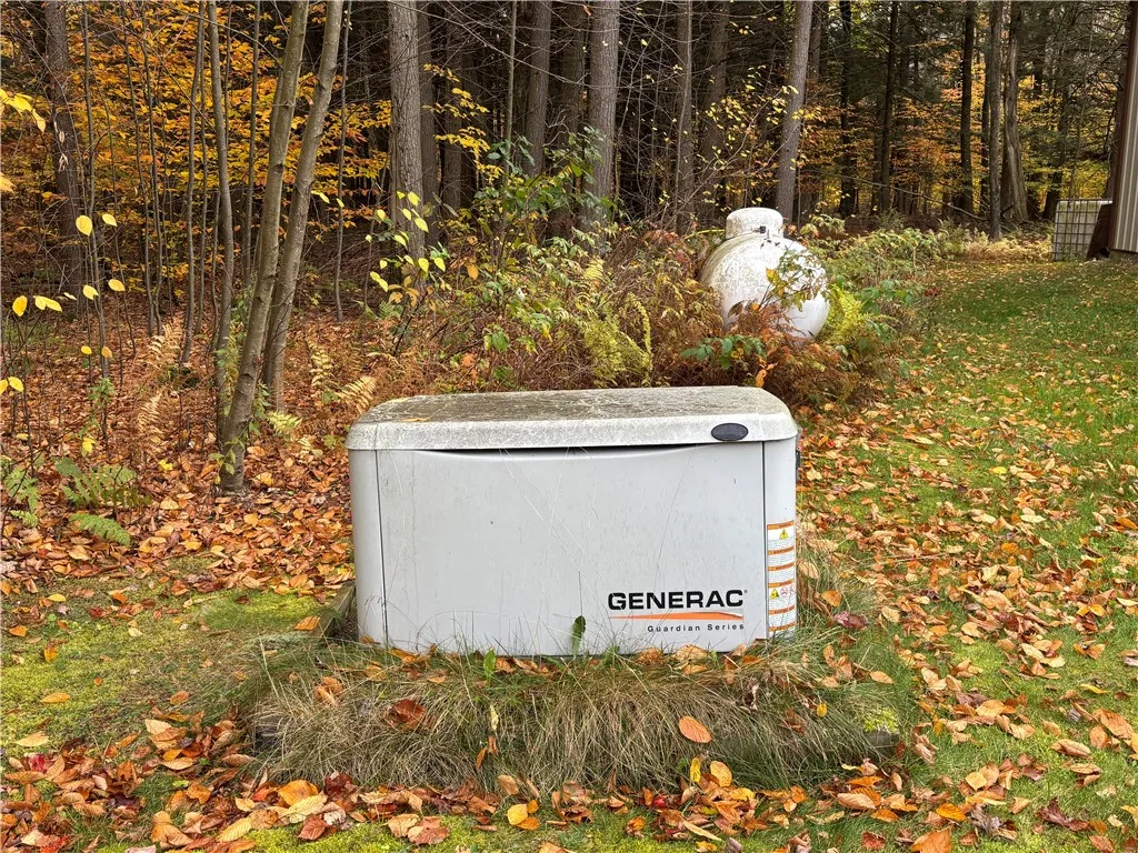 Whole house automatic generator