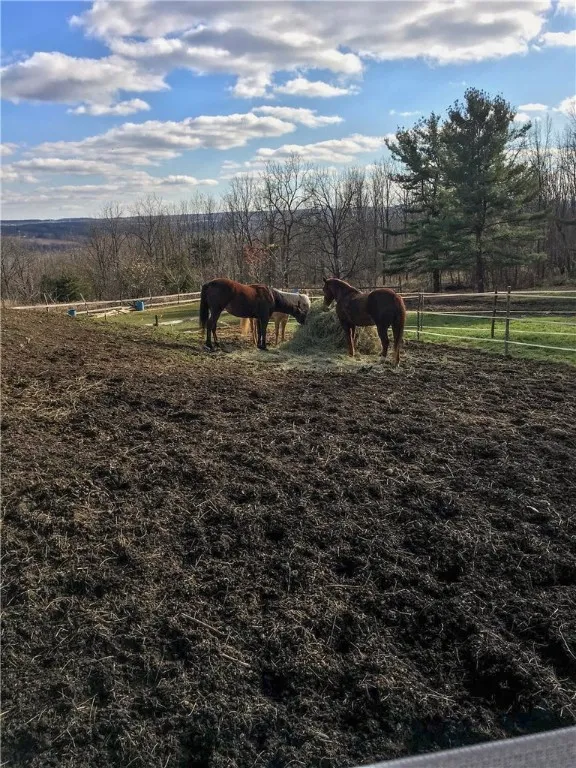 2867 Merritt Hill Road, Jerusalem, New York 14527, Jerusalem, New York 14527, 4 Bedrooms Bedrooms, 8 Rooms Rooms,1 BathroomBathrooms,Residential,For Sale,2867 Merritt Hill Road, Jerusalem, New York 14527,0,R1645497