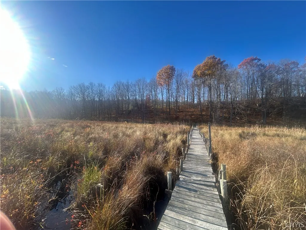 Yellow Lake Drive Lpt, Rossie, New York 13679, Rossie, New York 13679, 3 Bedroom Bedrooms, ,1 BathroomBathrooms,Land,For Sale,Yellow Lake Drive Lpt, Rossie, New York 13679,0,S1647056