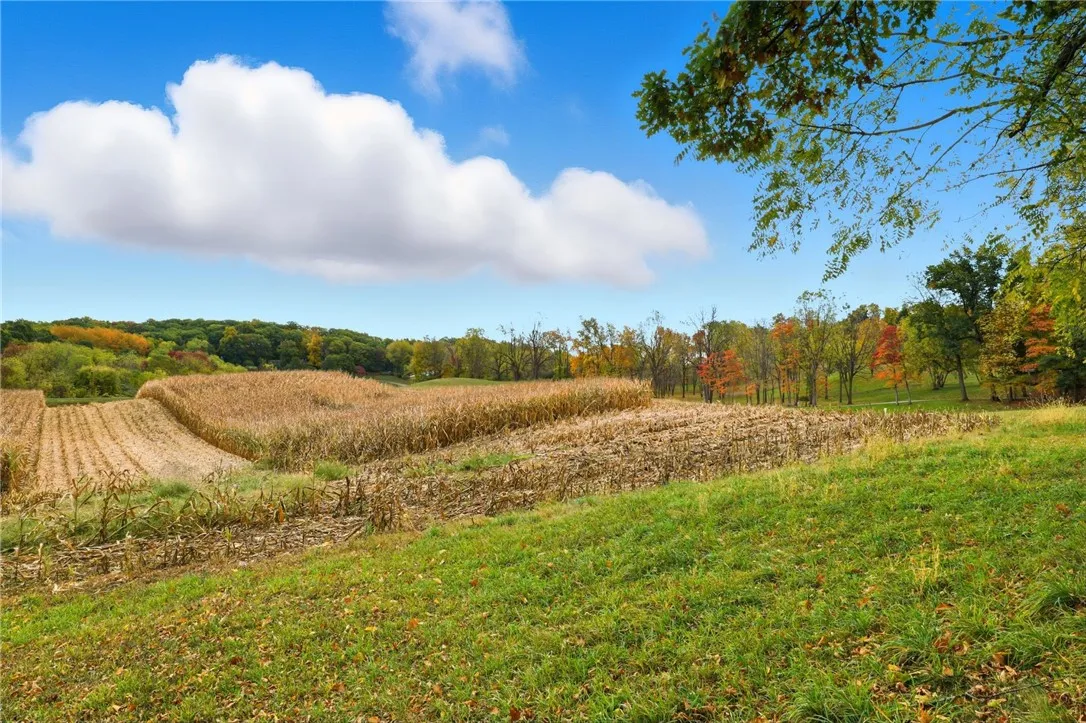 Strong Road, Victor, New York 14564, Victor, New York 14564, ,Land,For Sale,Strong Road, Victor, New York 14564,0,R1646395