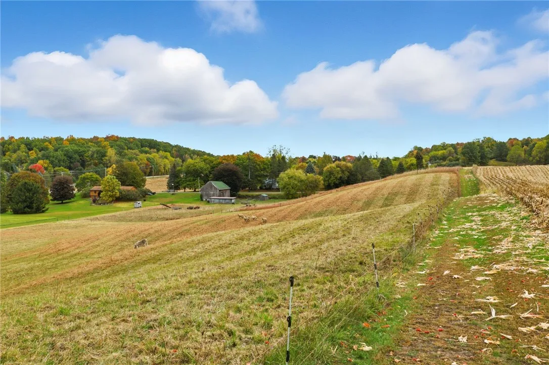 Strong Road, Victor, New York 14564, Victor, New York 14564, ,Land,For Sale,Strong Road, Victor, New York 14564,0,R1646395