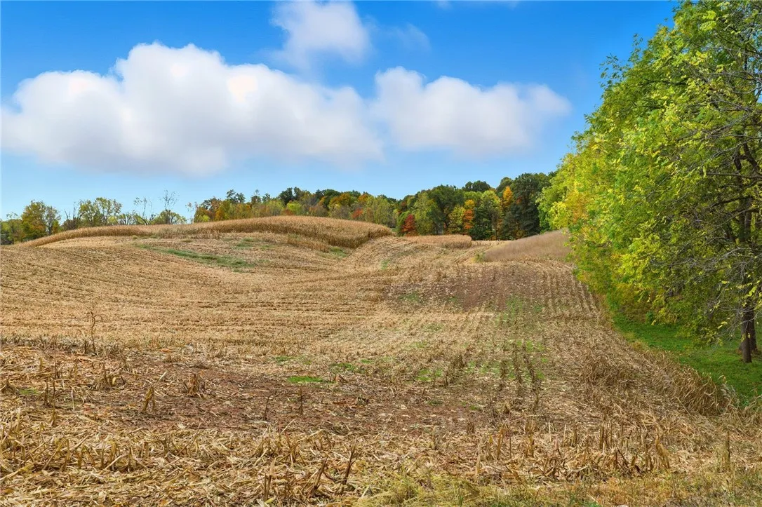 Strong Road, Victor, New York 14564, Victor, New York 14564, ,Land,For Sale,Strong Road, Victor, New York 14564,0,R1646395