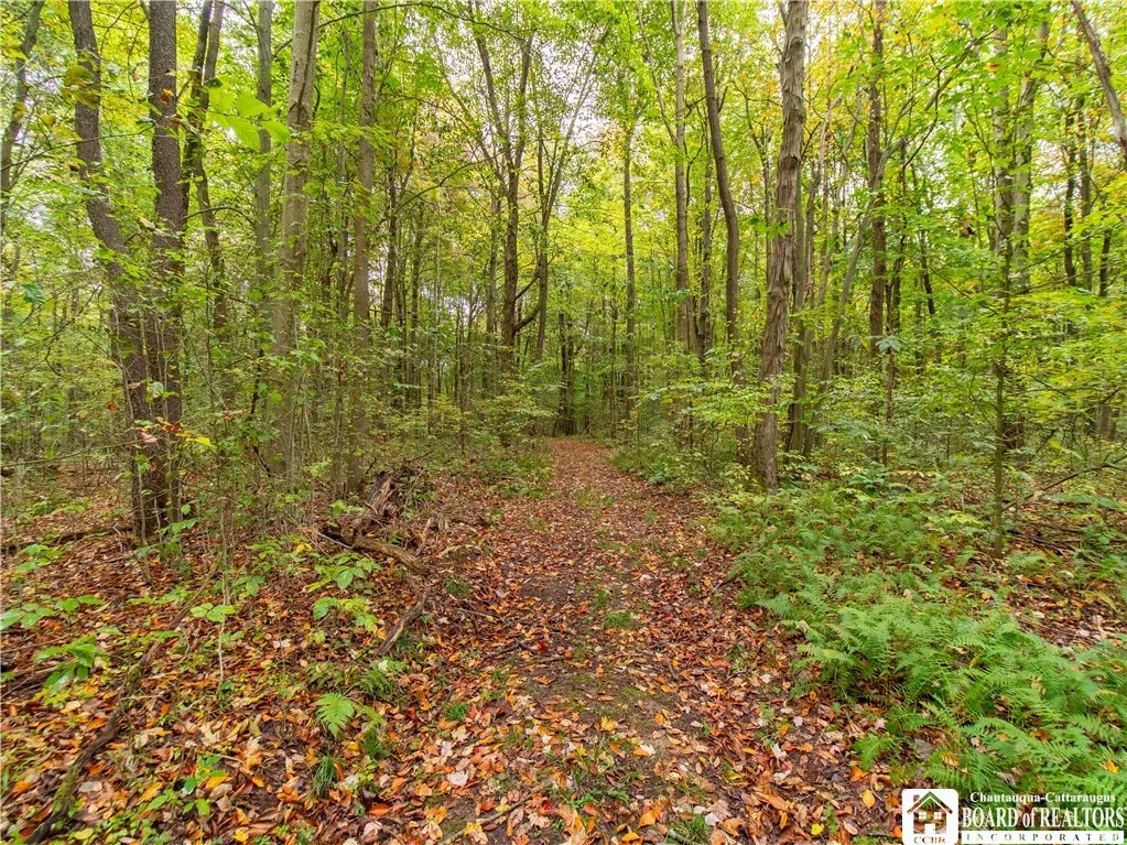 4092 Fluvanna Townline Road, Gerry, New York 14701, Gerry, New York 14701, 4 Bedrooms Bedrooms, 7 Rooms Rooms,2 BathroomsBathrooms,Residential,For Sale,4092 Fluvanna Townline Road, Gerry, New York 14701,0,R1647465