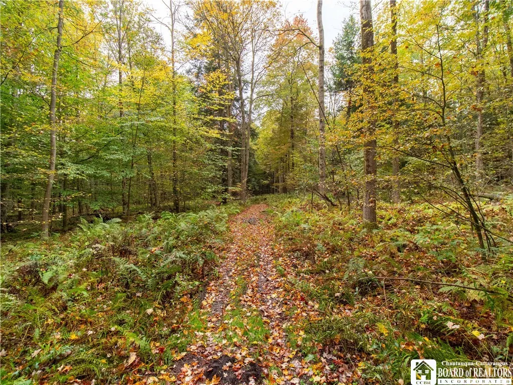 4092 Fluvanna Townline Road, Gerry, New York 14701, Gerry, New York 14701, 4 Bedrooms Bedrooms, 7 Rooms Rooms,2 BathroomsBathrooms,Residential,For Sale,4092 Fluvanna Townline Road, Gerry, New York 14701,0,R1647465