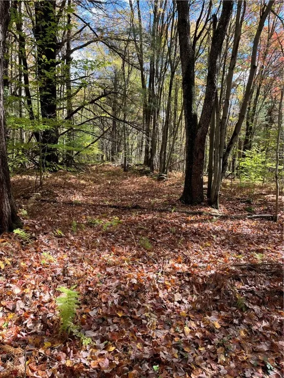 0 Baker Road, Butternuts, New York 13776, Butternuts, New York 13776, ,Land,For Sale,0 Baker Road, Butternuts, New York 13776,0,R1647447