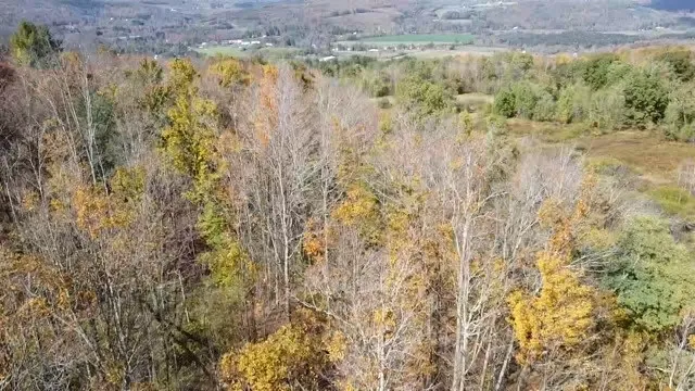 0 Baker Road, Butternuts, New York 13776, Butternuts, New York 13776, ,Land,For Sale,0 Baker Road, Butternuts, New York 13776,0,R1647447