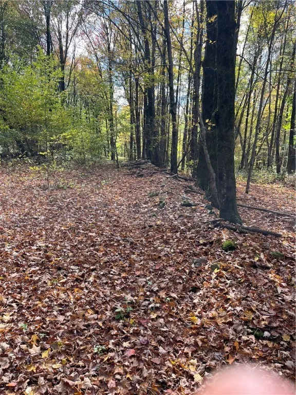 0 Baker Road, Butternuts, New York 13776, Butternuts, New York 13776, ,Land,For Sale,0 Baker Road, Butternuts, New York 13776,0,R1647447
