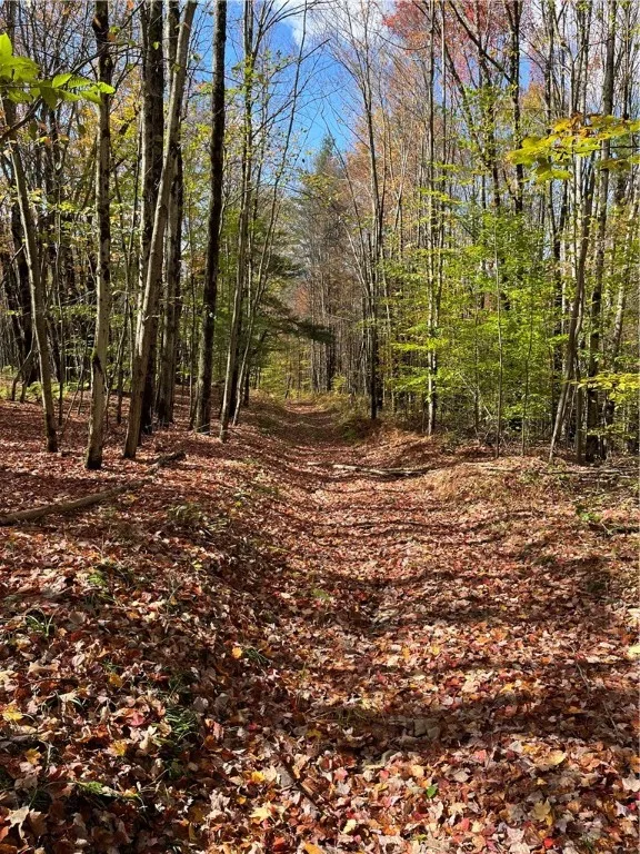 0 Baker Road, Butternuts, New York 13776, Butternuts, New York 13776, ,Land,For Sale,0 Baker Road, Butternuts, New York 13776,0,R1647447