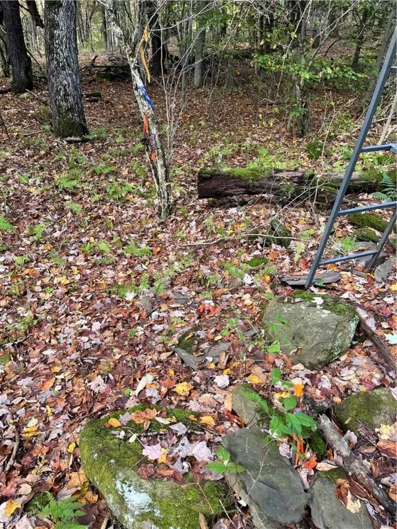 0 Baker Road, Butternuts, New York 13776, Butternuts, New York 13776, ,Land,For Sale,0 Baker Road, Butternuts, New York 13776,0,R1647447