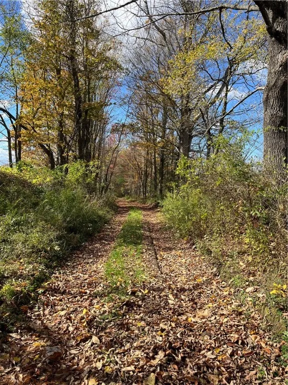 0 Baker Road, Butternuts, New York 13776, Butternuts, New York 13776, ,Land,For Sale,0 Baker Road, Butternuts, New York 13776,0,R1647447