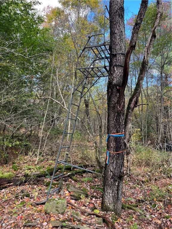 0 Baker Road, Butternuts, New York 13776, Butternuts, New York 13776, ,Land,For Sale,0 Baker Road, Butternuts, New York 13776,0,R1647447