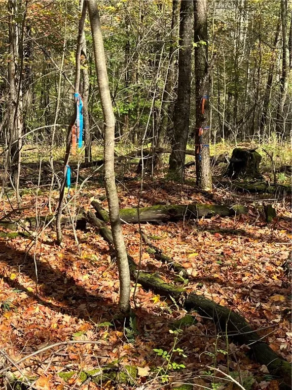 0 Baker Road, Butternuts, New York 13776, Butternuts, New York 13776, ,Land,For Sale,0 Baker Road, Butternuts, New York 13776,0,R1647447