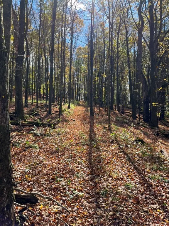 0 Baker Road, Butternuts, New York 13776, Butternuts, New York 13776, ,Land,For Sale,0 Baker Road, Butternuts, New York 13776,0,R1647447