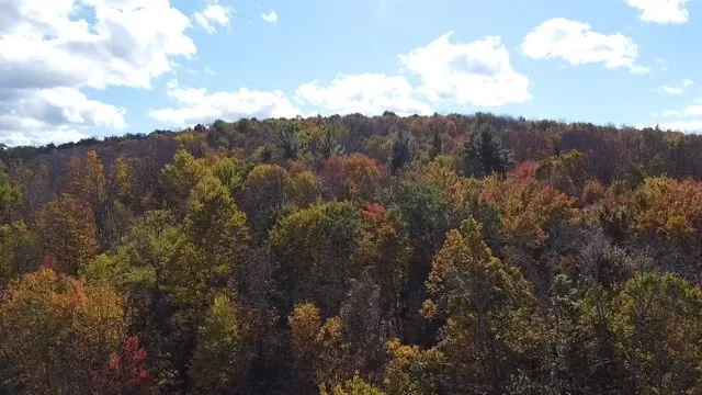 0 Baker Road, Butternuts, New York 13776, Butternuts, New York 13776, ,Land,For Sale,0 Baker Road, Butternuts, New York 13776,0,R1647447