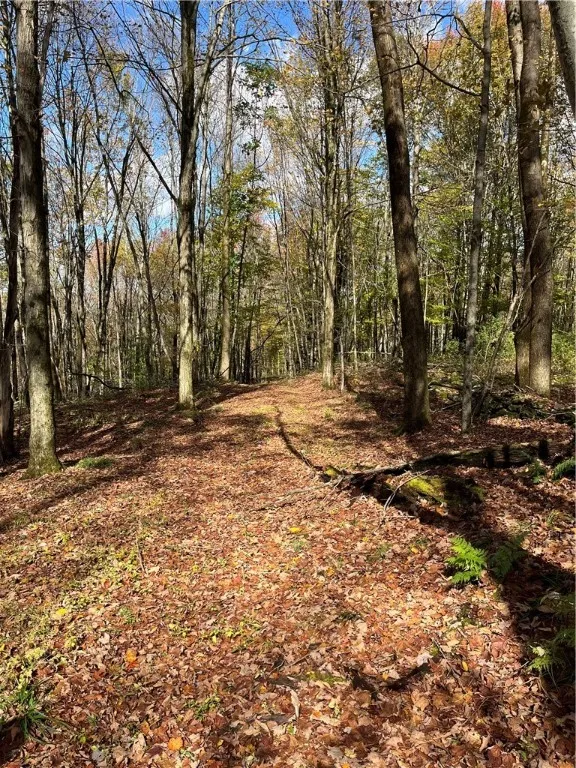 0 Baker Road, Butternuts, New York 13776, Butternuts, New York 13776, ,Land,For Sale,0 Baker Road, Butternuts, New York 13776,0,R1647447