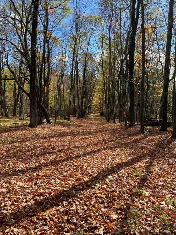 0 Baker Road, Butternuts, New York 13776, Butternuts, New York 13776, ,Land,For Sale,0 Baker Road, Butternuts, New York 13776,0,R1647447