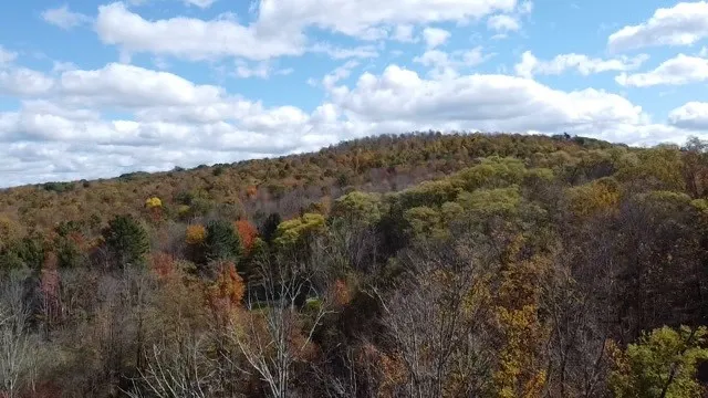 0 Baker Road, Butternuts, New York 13776, Butternuts, New York 13776, ,Land,For Sale,0 Baker Road, Butternuts, New York 13776,0,R1647447