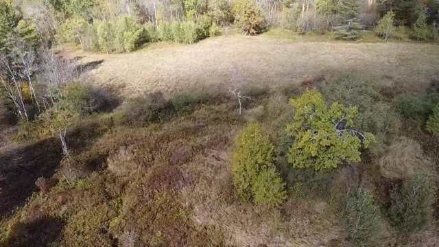 0 Baker Road, Butternuts, New York 13776, Butternuts, New York 13776, ,Land,For Sale,0 Baker Road, Butternuts, New York 13776,0,R1647447