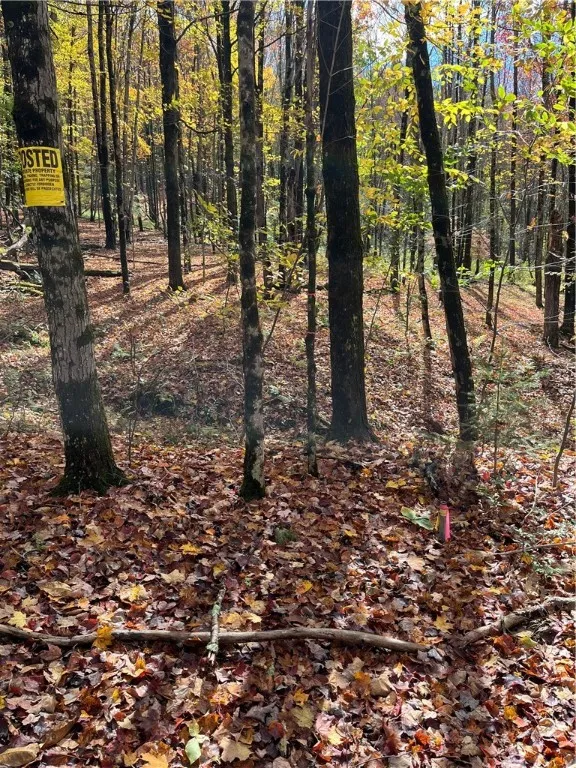 0 Baker Road, Butternuts, New York 13776, Butternuts, New York 13776, ,Land,For Sale,0 Baker Road, Butternuts, New York 13776,0,R1647447