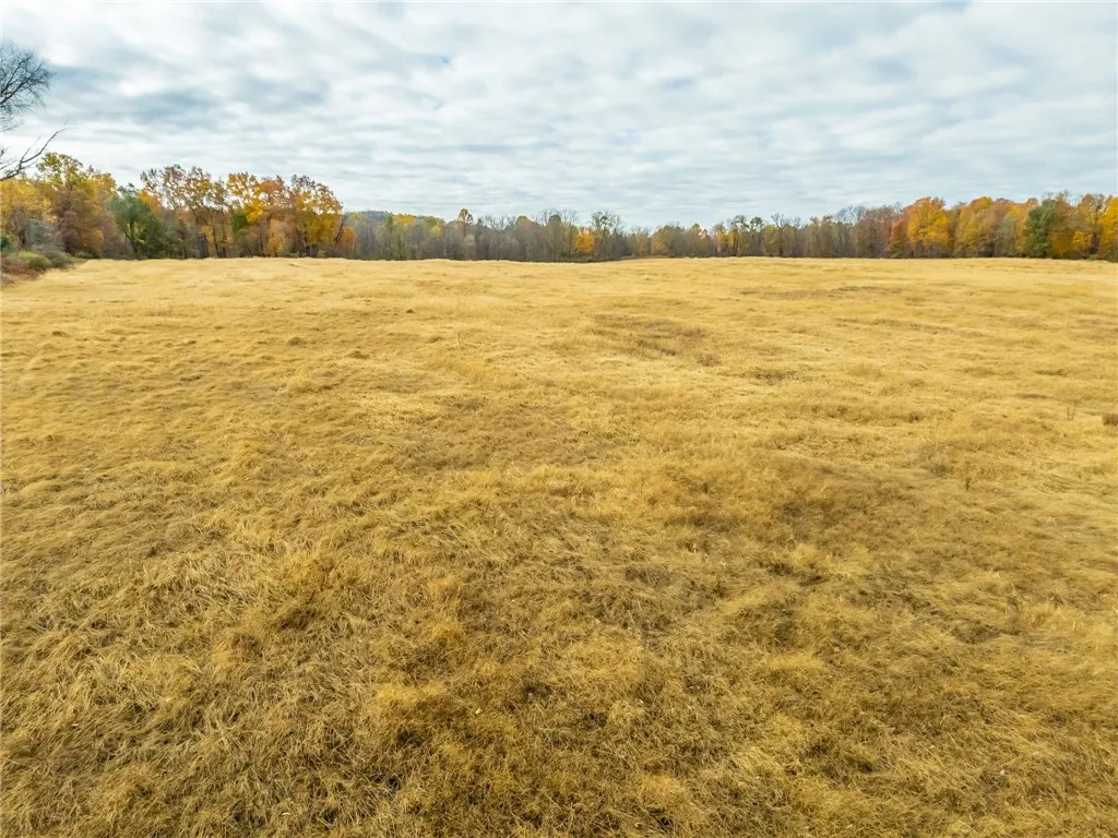 8009 State Route 251, Victor, New York 14564, Victor, New York 14564, ,Land,For Sale,8009 State Route 251, Victor, New York 14564,0,R1646581