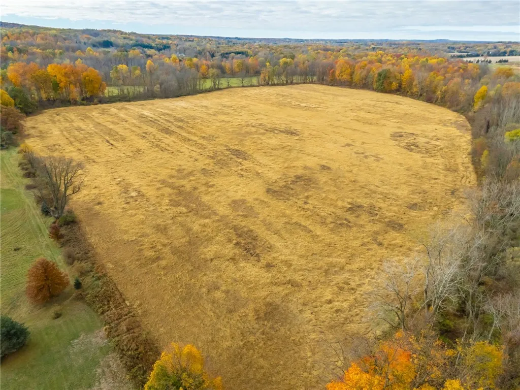 8009 State Route 251, Victor, New York 14564, Victor, New York 14564, ,Land,For Sale,8009 State Route 251, Victor, New York 14564,0,R1646581