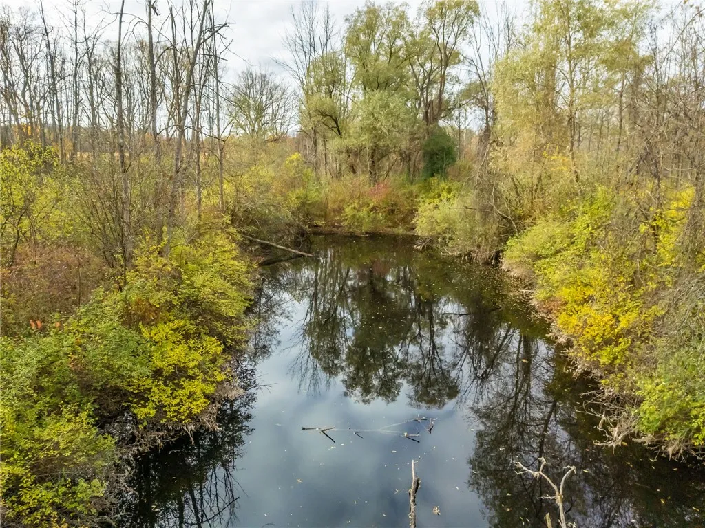 8009 State Route 251, Victor, New York 14564, Victor, New York 14564, ,Land,For Sale,8009 State Route 251, Victor, New York 14564,0,R1646581