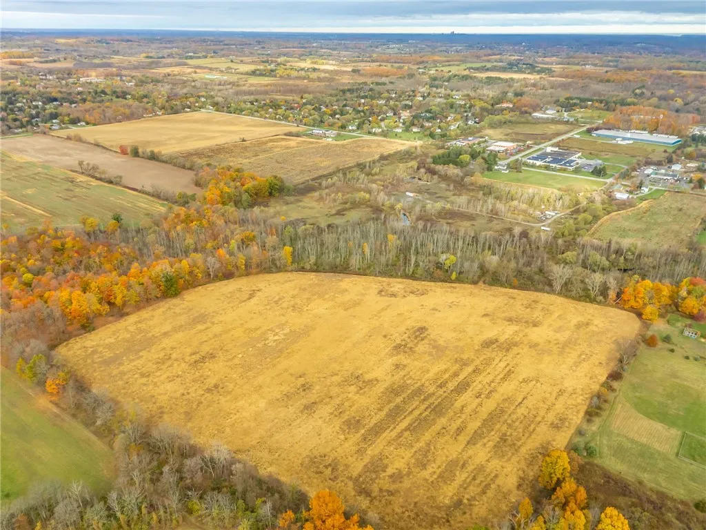 8009 State Route 251, Victor, New York 14564, Victor, New York 14564, ,Land,For Sale,8009 State Route 251, Victor, New York 14564,0,R1646581