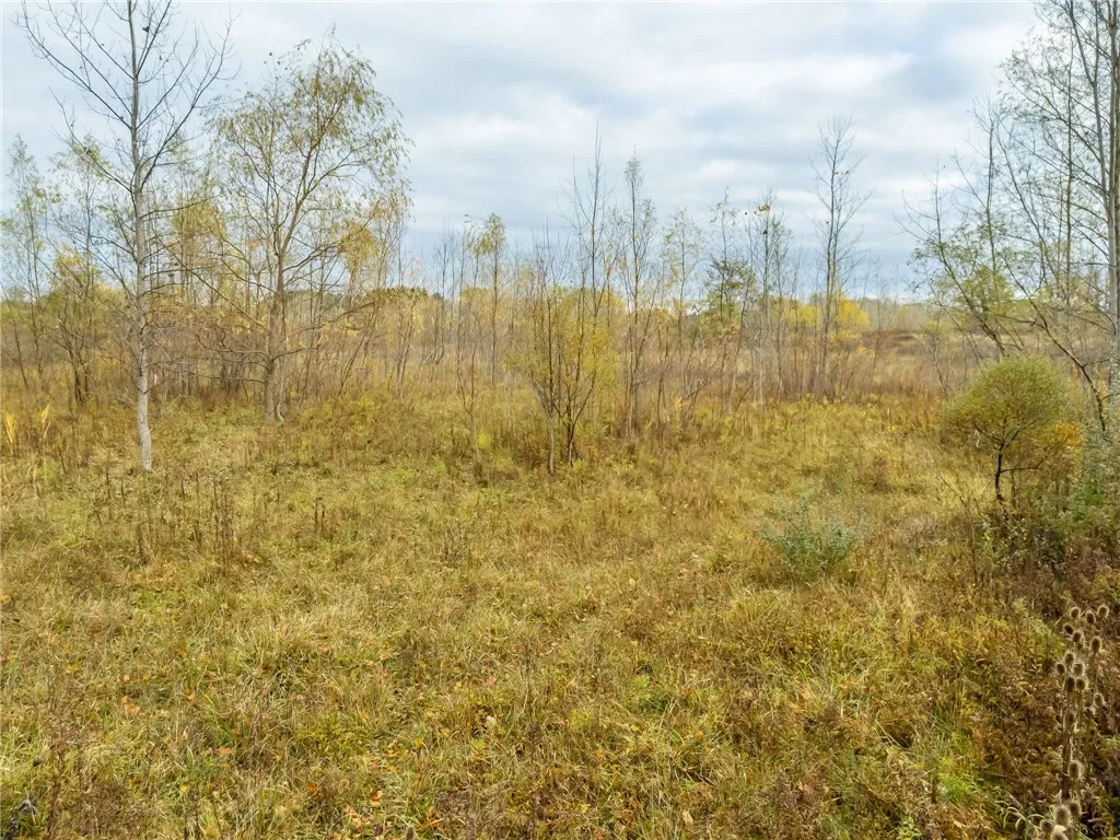 8009 State Route 251, Victor, New York 14564, Victor, New York 14564, ,Land,For Sale,8009 State Route 251, Victor, New York 14564,0,R1646581