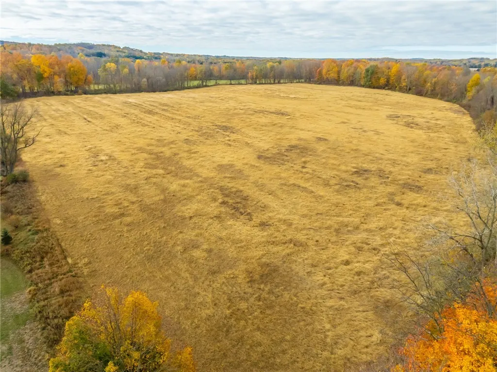 8009 State Route 251, Victor, New York 14564, Victor, New York 14564, ,Land,For Sale,8009 State Route 251, Victor, New York 14564,0,R1646581
