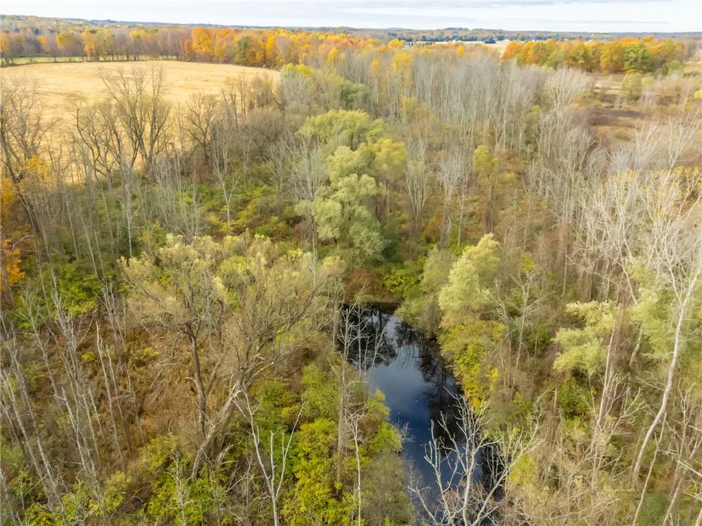 8009 State Route 251, Victor, New York 14564, Victor, New York 14564, ,Land,For Sale,8009 State Route 251, Victor, New York 14564,0,R1646581