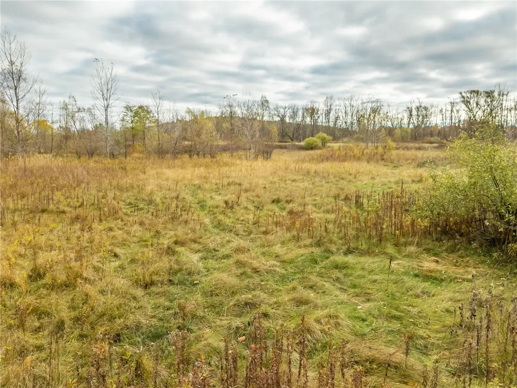 8009 State Route 251, Victor, New York 14564, Victor, New York 14564, ,Land,For Sale,8009 State Route 251, Victor, New York 14564,0,R1646581