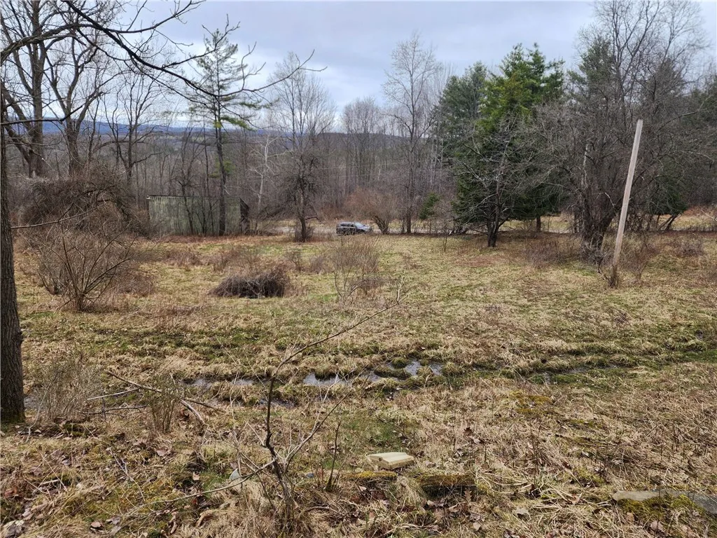 6220 Feenaughty Hill Road S, Howard, New York 1482, Howard, New York 14823, ,Land,For Sale,6220 Feenaughty Hill Road S, Howard, New York 1482,0,R1647730